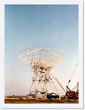 ant13 * 1125 x 1506 * (270KB)